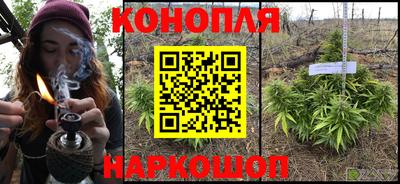 не бодяженный Гатчина