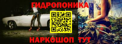 не бодяженный Гатчина