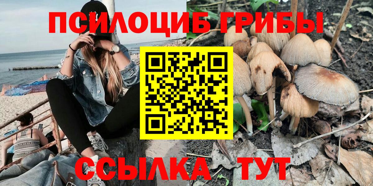 Галлюциногенные грибы MAGIC MUSHROOMS Кандалакша