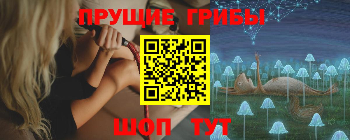Галлюциногенные грибы MAGIC MUSHROOMS  Вход с VPN  Кандалакша 